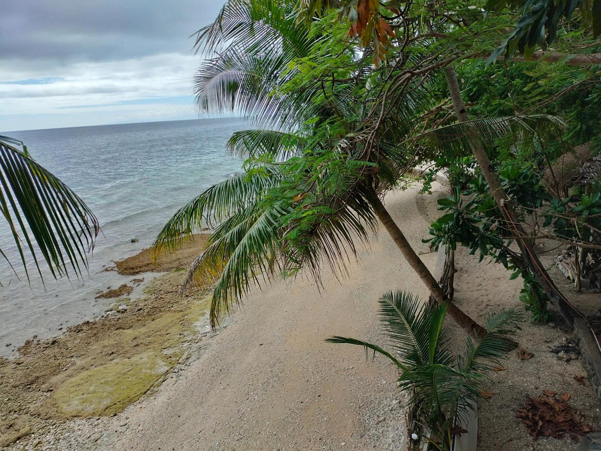 Boljoon Sea Esta Beach Houseゲストハウス エクステリア 写真