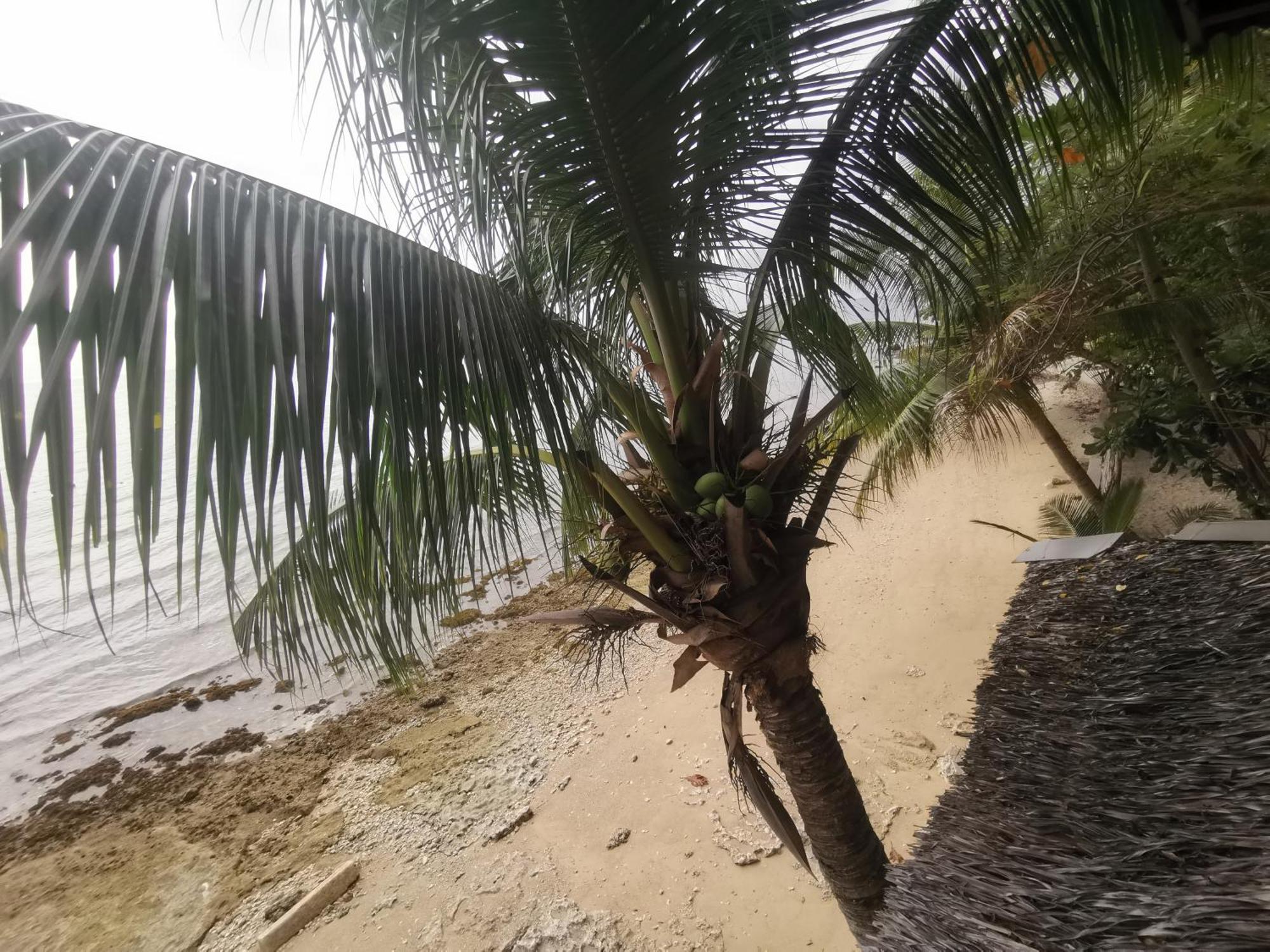 Boljoon Sea Esta Beach Houseゲストハウス エクステリア 写真