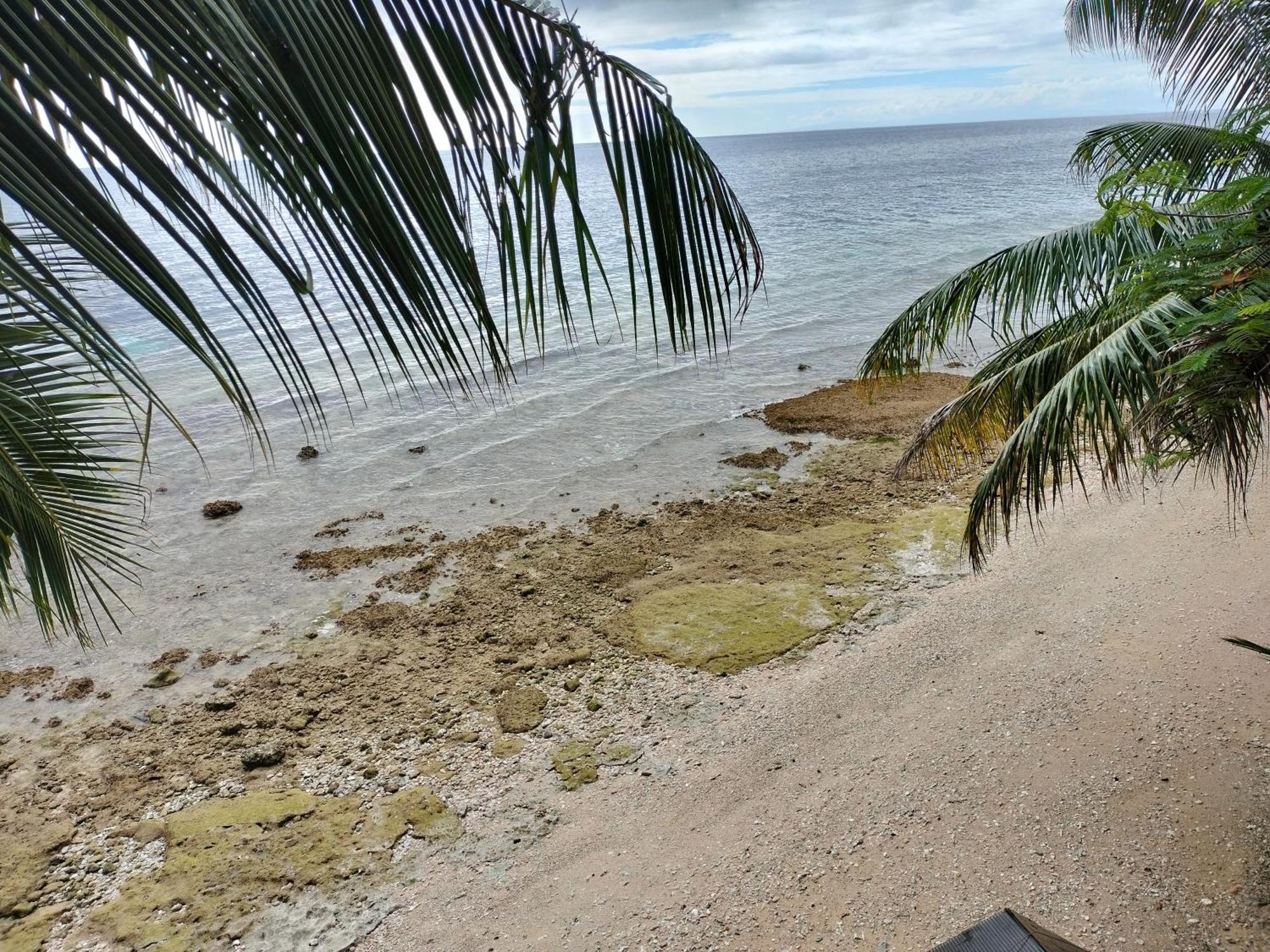 Boljoon Sea Esta Beach Houseゲストハウス エクステリア 写真